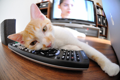 开云体育2026-绿茵场思维，篮网如何用高位逼抢与传控哲学战术绞杀公牛？