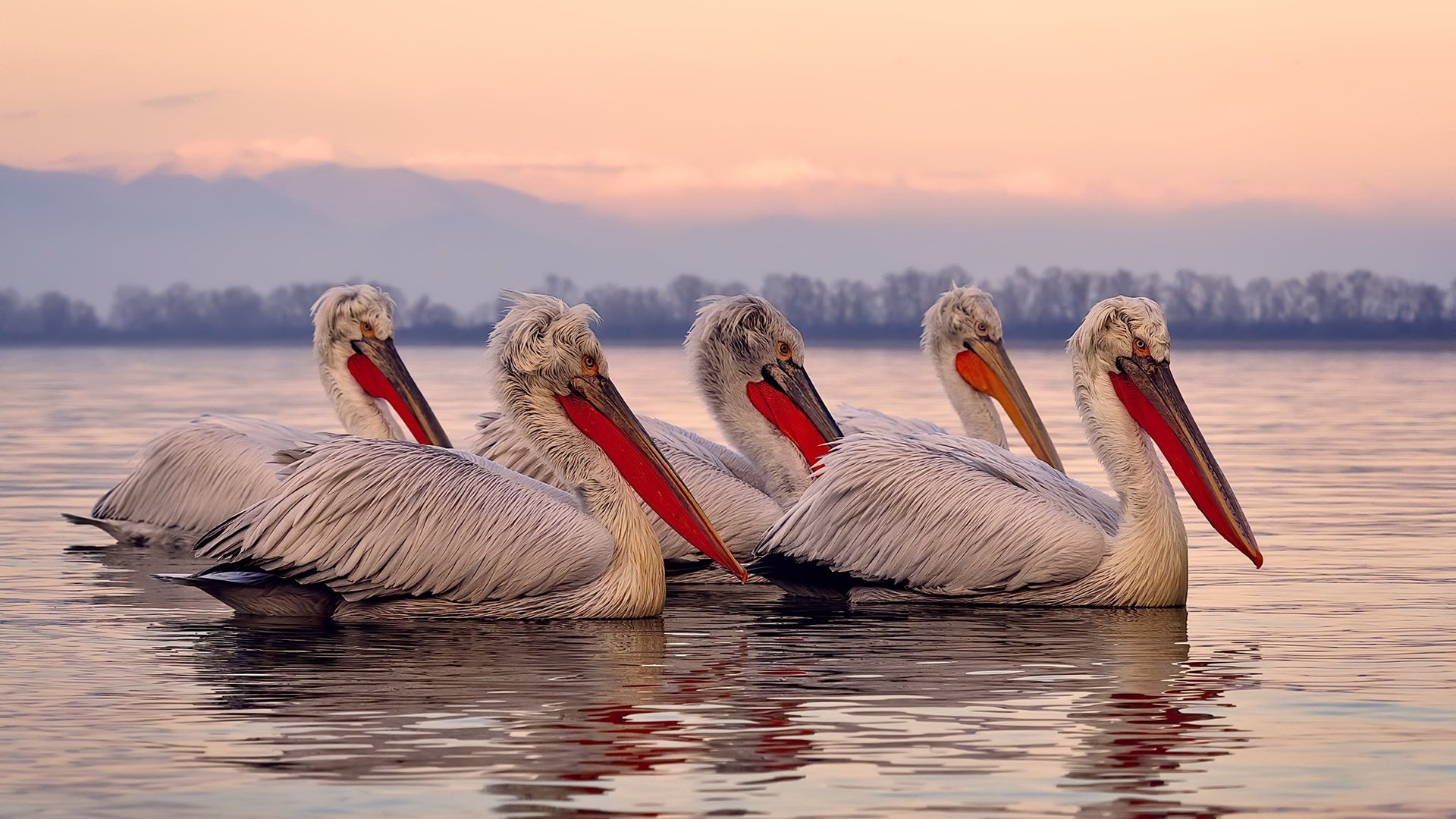 桑巴烈日灼伤智利冰川，当内马尔在那不勒斯的争冠烽火中爆发