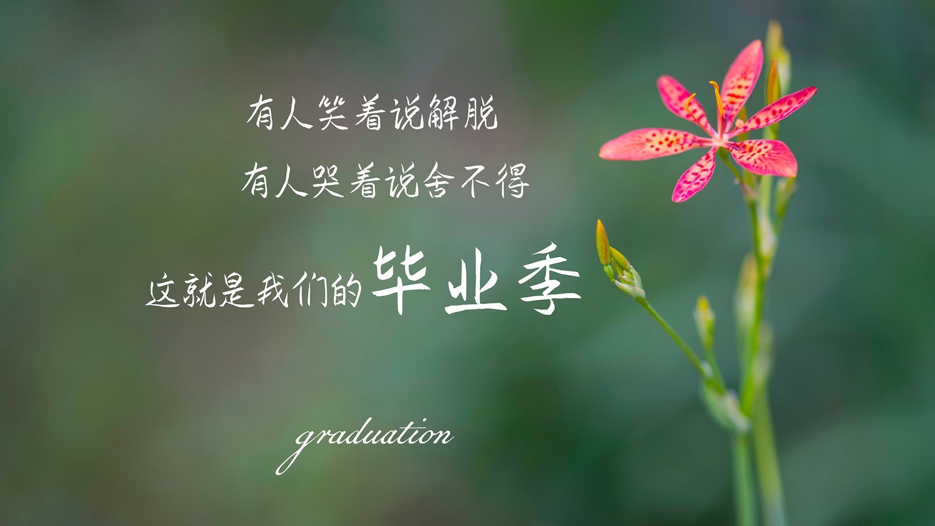 开云体育2026-逆转之夜！贝恩绝杀背后，热火的极限赌博与森林狼的三秒崩塌