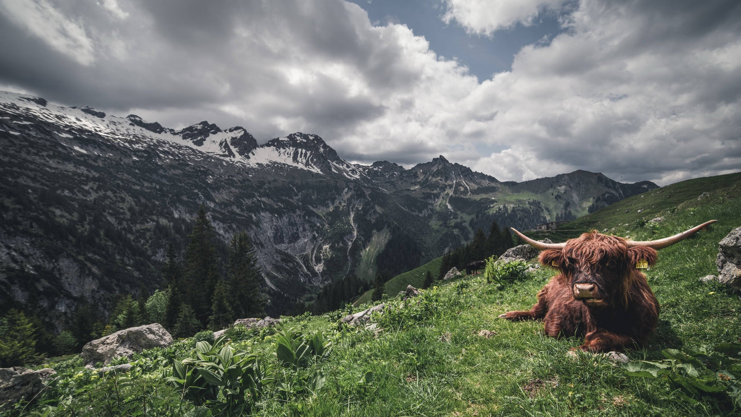 奥运周期序曲,摩纳哥客场破壁尤文,一场定义关键时刻的硬仗胜利