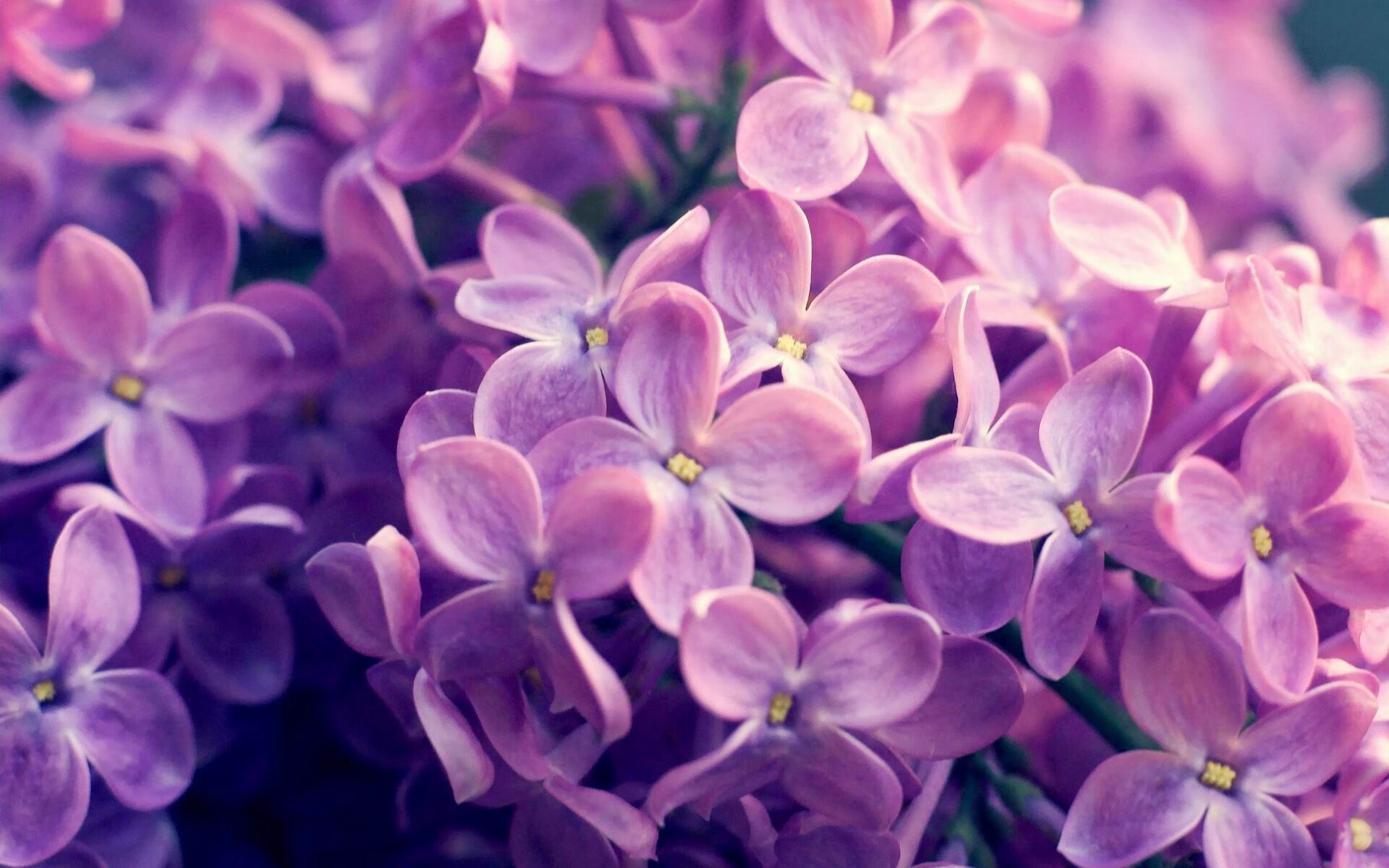 暗夜追光,布雷默在年度焦点之夜的救赎与重生