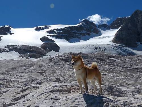 数据王座上的萨卡,与铁血城墙般的威尔士—当个人英雄主义遭遇战术绞杀