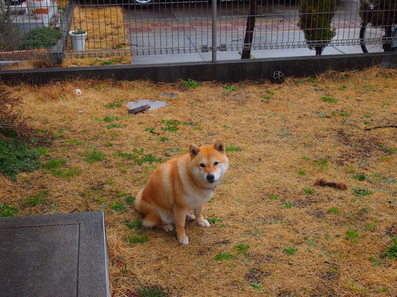 开云体育平台APP-冰火淬炼，罗德里戈的炽热与雷恩的寒地远征—论逆境中爆发的唯一性