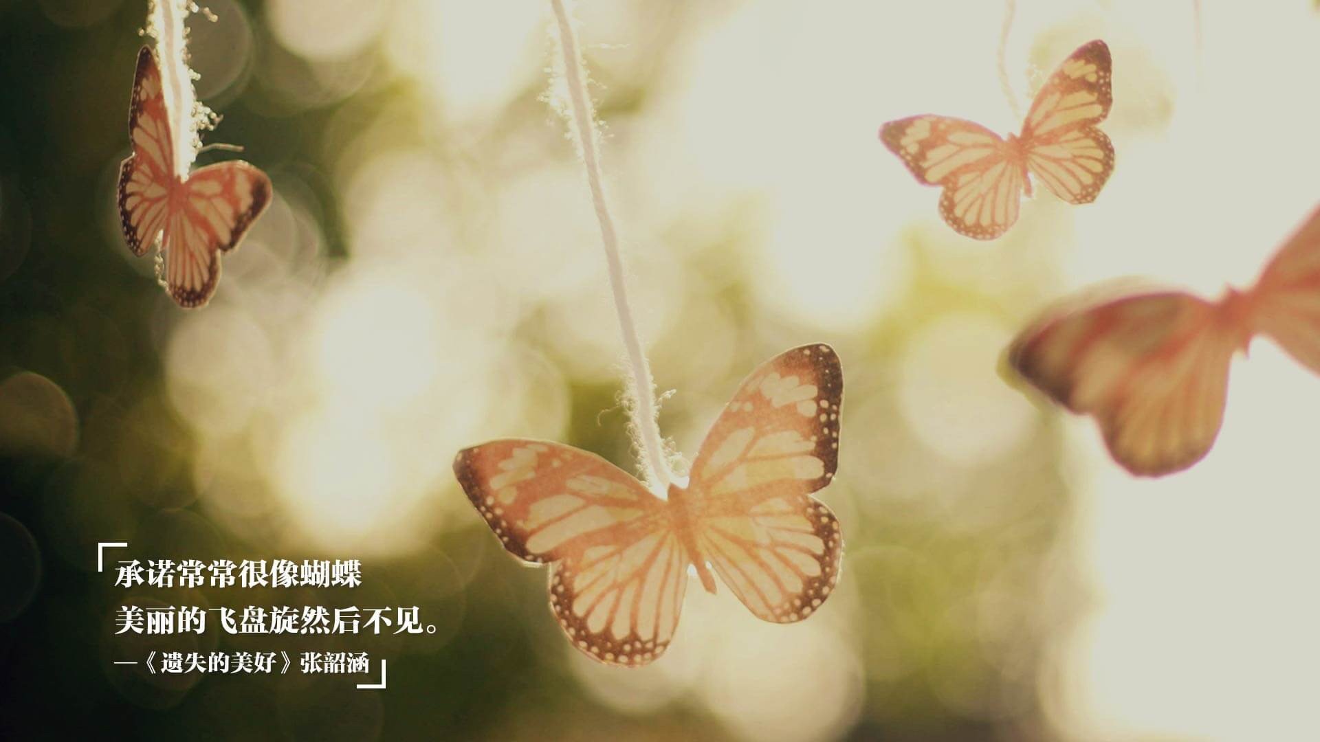 冰与火之歌，当沙漠遇上郁金香，凯恩如何为卡塔尔编织荷兰式节奏