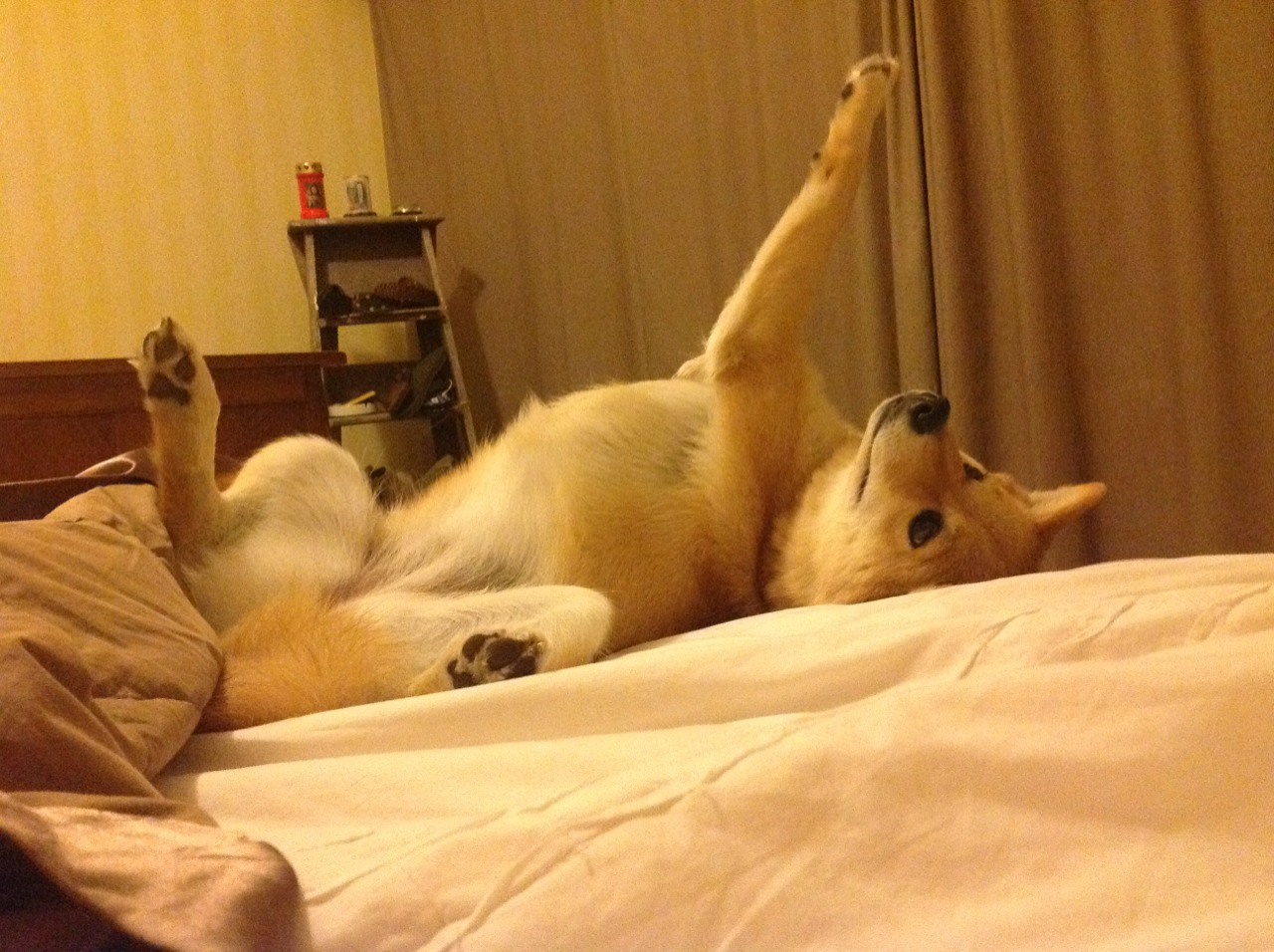 开云体育app-童话之国的意外败北，佩德里一传一射，洪都拉斯创下历史性胜利