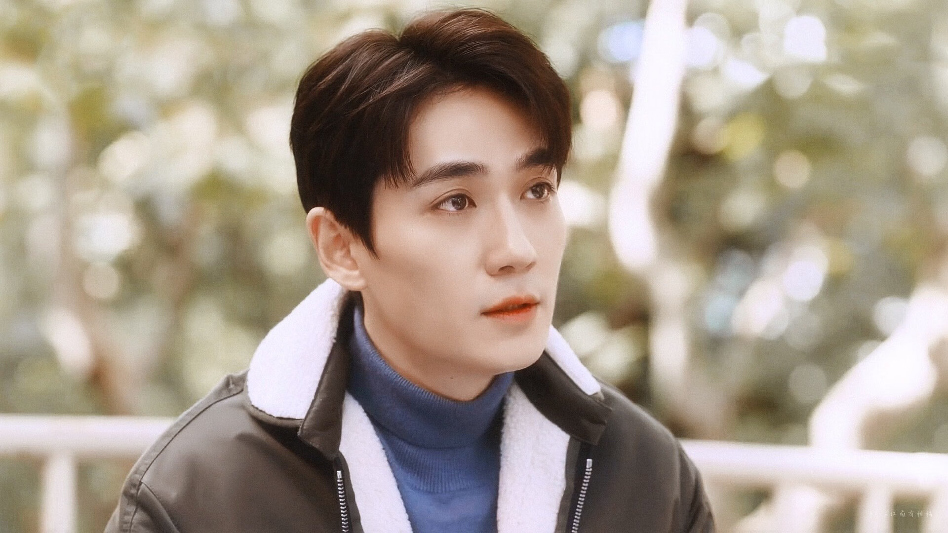 开云体育APP下载-孤星刺破蜂群，霍勒迪的独舞之夜，一场被重新定义的比赛