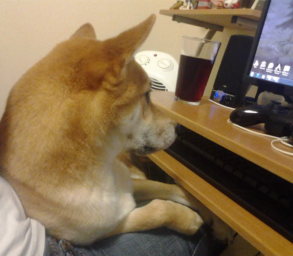 开云体育官网-全能之王的绝地王座，约基奇于抢七宿命对决中写下不朽