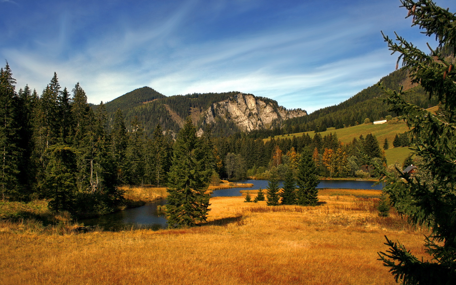 诸神之战，埃及男篮压哨绝杀塞维利亚，抢七终局燃爆跨洲联赛