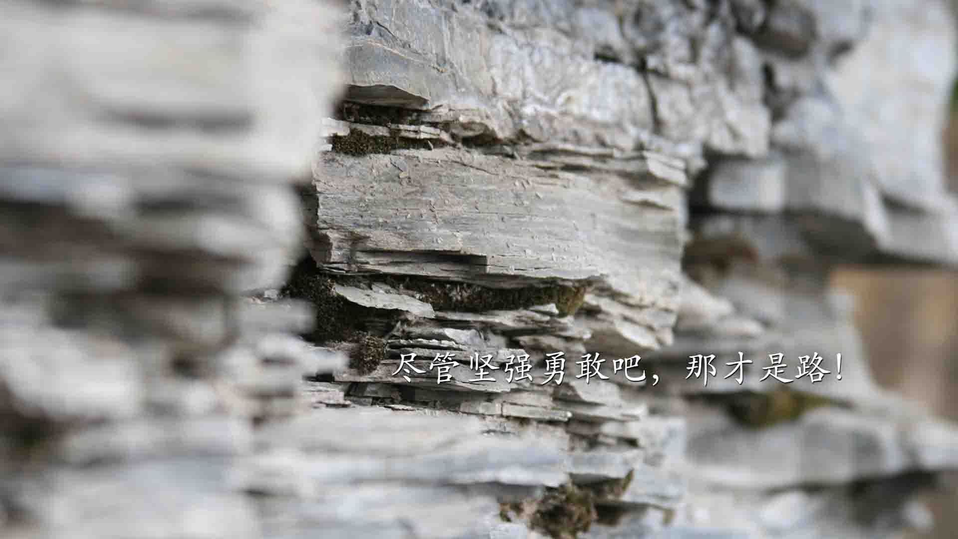 开云体育中国-节拍器的低语，费利克斯如何以节奏之名，为保加利亚奏响2026世界杯E组的唯一乐章