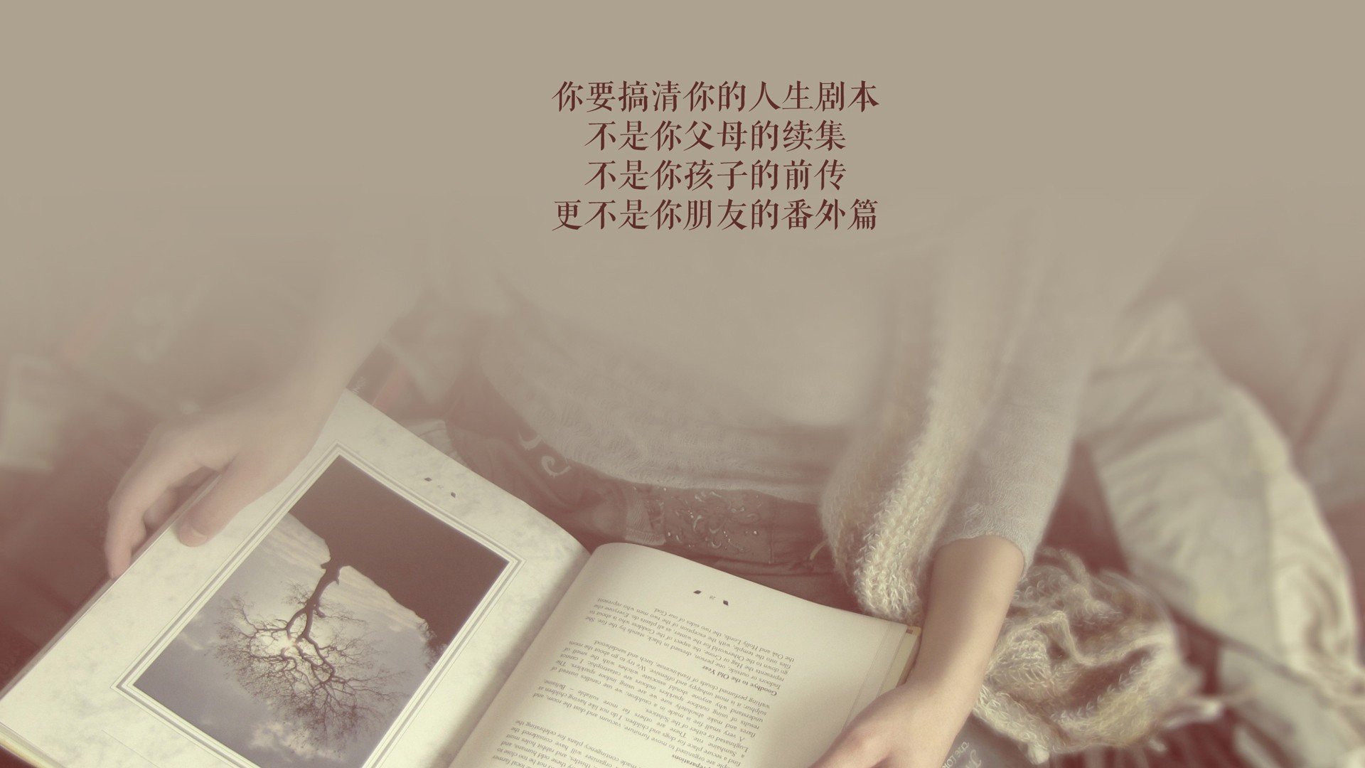 北境之光刺破维也纳森林,哈基米魔术师般闪耀,瑞典绝杀奥地利上演G组惊魂
