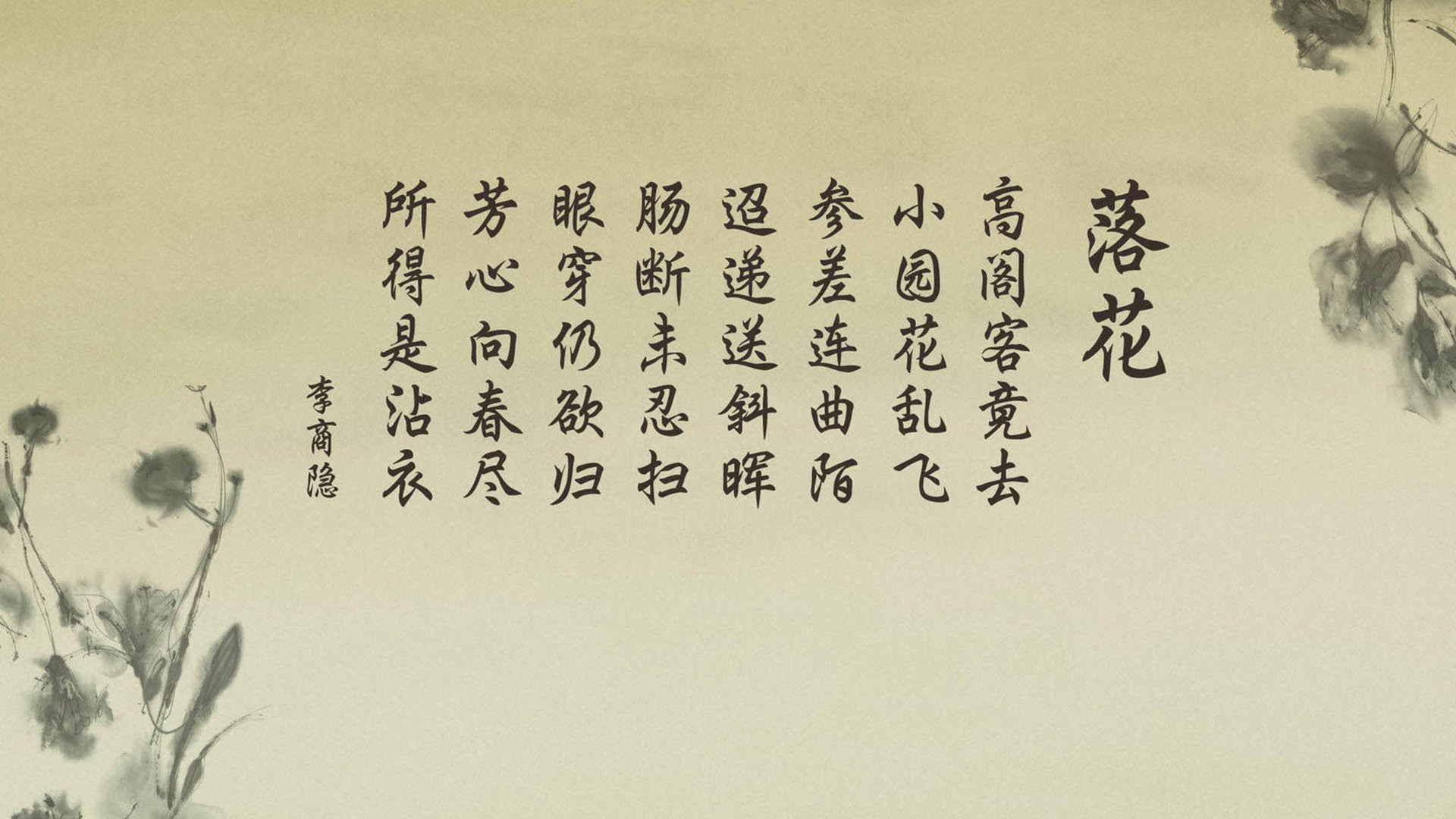 唯一的裂痕，当哈兰德选择成为突尼斯人，2026世界杯C组的世纪悖论