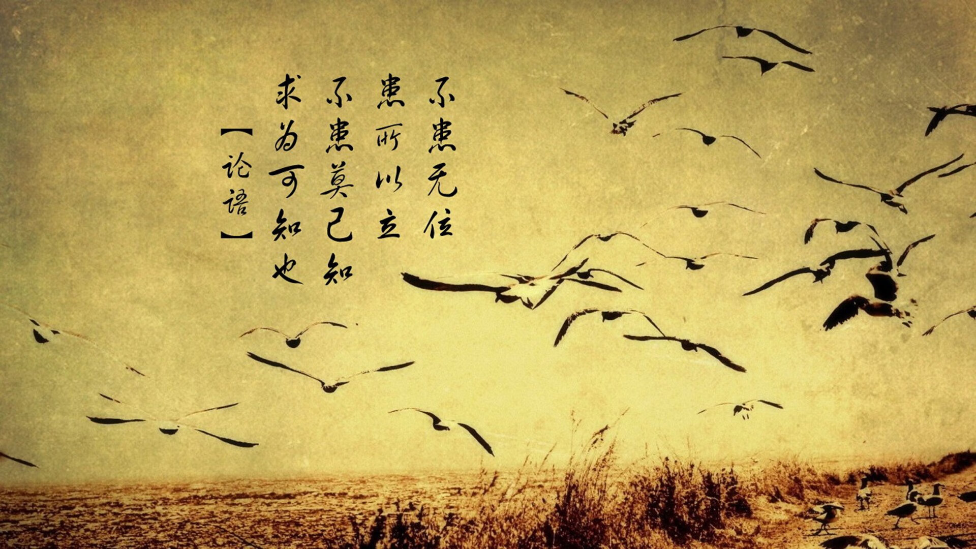 看似碾压的修罗场，当西班牙的传控在萨格勒布雨夜撞上布罗佐维奇的铁幕，一个替补奇兵书写的唯一性剧本