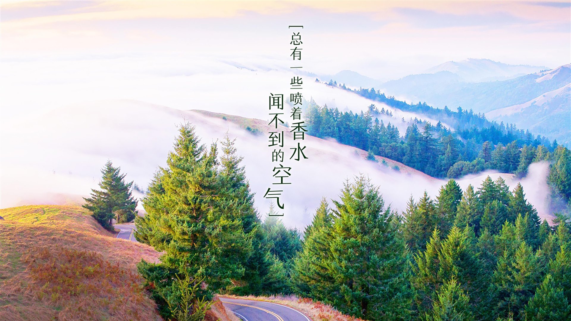 沙漠风暴席卷北欧童话，维尼修斯王者降临，阿联酋血洗丹麦铸就世界杯八分之一神迹